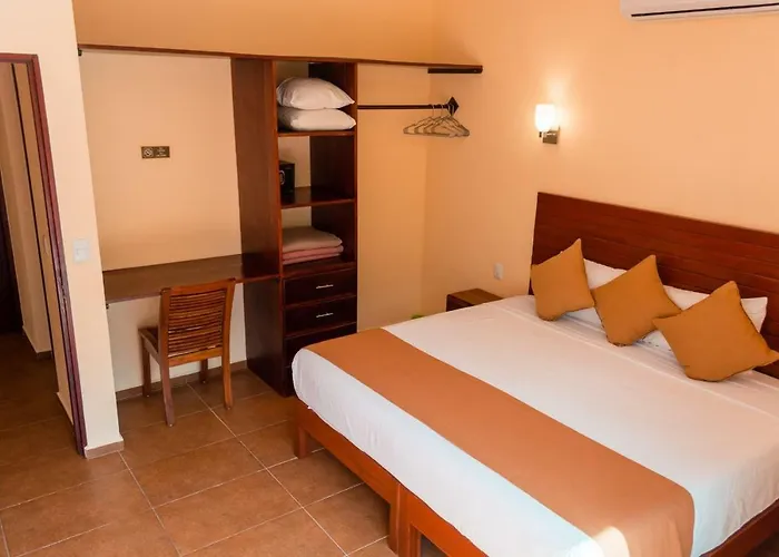 Amplio Departamento Espacioso Ideal Para Disfrutar El Mar De Y La Naturaleza Pensión Tulum