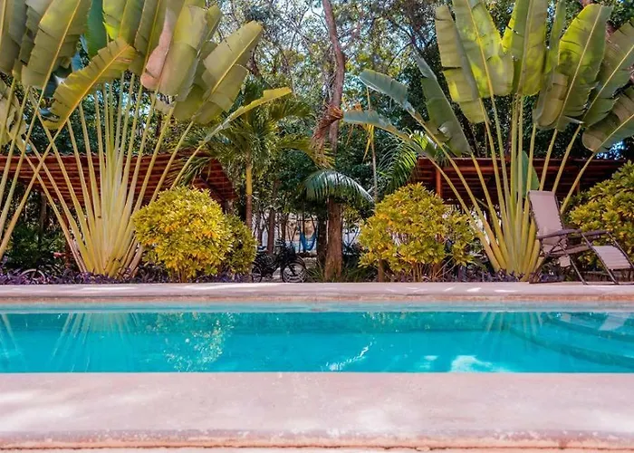 Pensión Amplio Departamento Espacioso Ideal Para Disfrutar El Mar De Y La Naturaleza